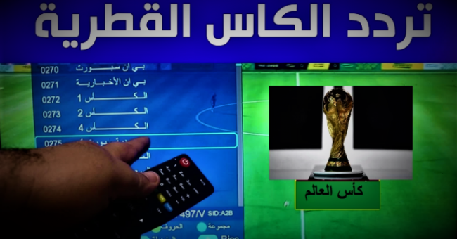 مشاهدة قناة الكأس 1 بث مباشر